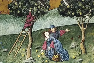 IBN BUTLAN, Abu-l Hasan al-Mujtar (c. 1001 - 1066)