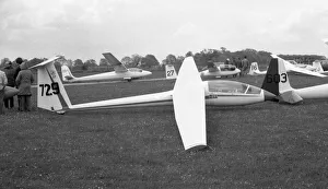 Flown Gallery: ICA-Brasov IS-29D-2 729