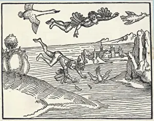 Falls Prints: Icarus by Durer 1493