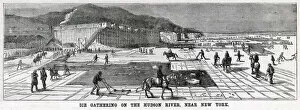 Ice-cutting on the Hudson River 1875