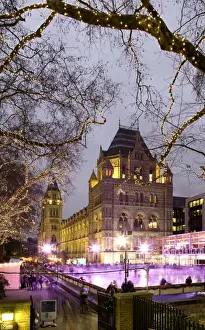 The ice rink at the Natural History Museum, London