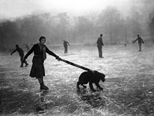 Mistress Collection: Ice Skating Dog