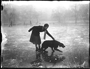 Mistress Collection: Ice Skating Dog