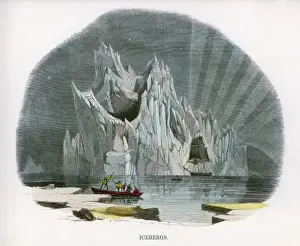 Ice Berg Prints: Iceberg / Whimper C1860