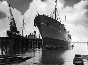 Ships and Boats Gallery: Icelandic Trawler
