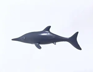 Phanerozoic Prints: Ichthyosaur