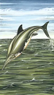Ichthyosaurus