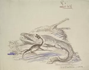 Benjamin Waterhouse Hawkins Collection: Ichthyosaurus, Plesiosaurus, Stenosaurus