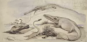 Benjamin Waterhouse Hawkins Collection: Ichthyosaurus, Plesiosaurus, Stenosaurus and another marine