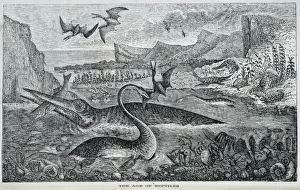 Jurassic Prints: Ichthyosaurus, Pterodactylus, Plesiosaurus