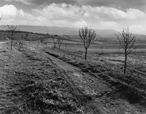 Icknield St. Roman Road