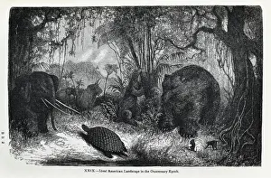 Ideal American landscape in the Quaternary Epoch