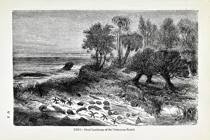 Ideal Prints: Ideal landscape of the Cretaceous Period