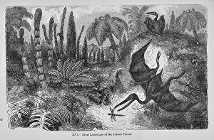 Ideal Prints: Ideal landscape of the Liassic Period