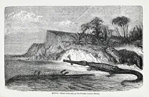 Ideal Prints: Ideal landscape of the Middle Oolitic Period
