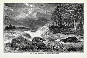Ideal Prints: Ideal landscape of the Muschelkalk Sub-period