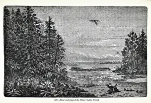 Ideal Prints: Ideal landscape of the Upper Oolitic Period