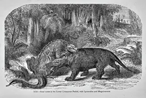 Ideal Prints: Ideal scene in the Lower Cretaceous Period