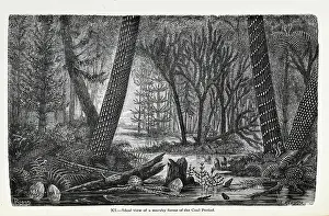 Ideal Prints: Ideal view of a marshy forest of the Coal Period
