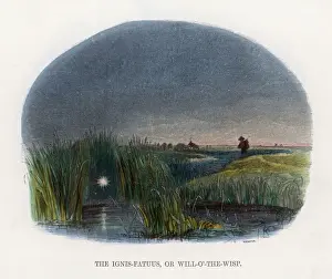 Marsh Prints: Ignis Fatuus (Colour)