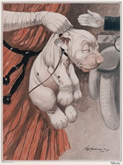 Bonzo Collection: Ignominy by George Studdy
