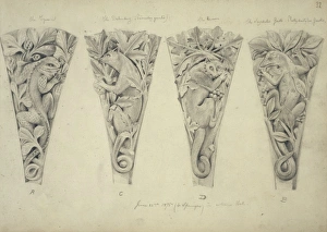 Lepidosaur Gallery: Iguana, delundung, racoon and gecko design