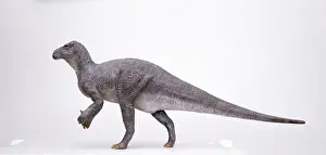 Iguanodon