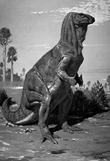 Iguanodon