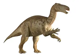 Iguanodon