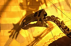 Iguanodon