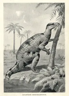 Extinctmonstersandcreaturesofotherdays Prints: Iguanodon bernissartensis
