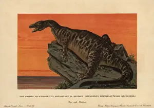 Iguanodon bernissartensis, extinct ground-dwelling