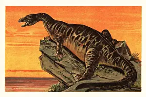 Late Jurassic Prints: Iguanodon bernissartensis, extinct species of Iguanodontian dino