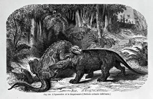 Cretaceous Period Collection: Iguanodon & Megalosaurus