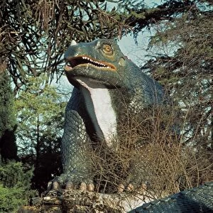 Hadrosauriformes Collection: Iguanodon model at Crystal Palace