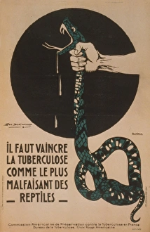 Tuberculosis Collection: Il faut vaincre la tuberculose comme le plus malfaisant des
