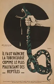 Il faut vaincre la tuberculose comme le plus malfaisant des