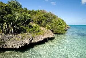 Images Dated 22nd June 2011: Ile aux Aigrettes island