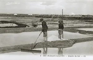 Raking Prints: Ile de Re, France - Salt pans
