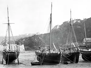 Images Dated 14th September 2018: Ilfracombe Harbour early 1900s