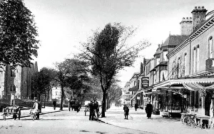 Ilkley Prints: Ilkley The Grove early 1900s