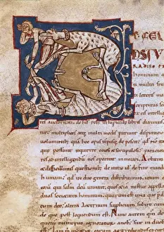 Hippo Prints: Illuminated initial. 12th c. It belongs to a