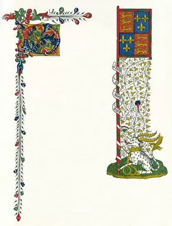 Shrewsbury Gallery: Illuminated letter D, and a standard
