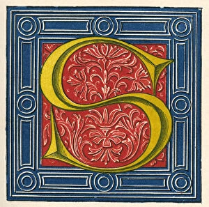 Alphabets Collection: Illuminated letter S