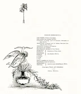 Illustration, Much Ado About Nothing, by William Shakespeare