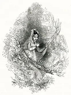 Illustration, Much Ado About Nothing, by William Shakespeare