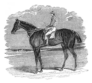 Egan Prints: Illustration, Birmingham, winner of the St Leger Stakes