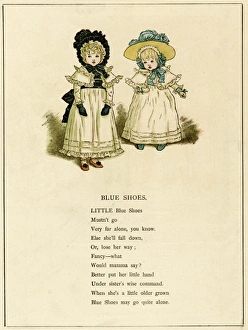 Images Dated 25th November 2011: Illustration, Blue Shoes