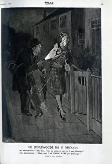 Illustration, Bristlewoods, in black out
