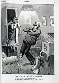 Illustration, Bristlewoods in living room with radio